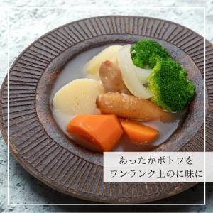 【送料無料】HAKKO RONDO 玉ねぎ麹 ...の詳細画像4