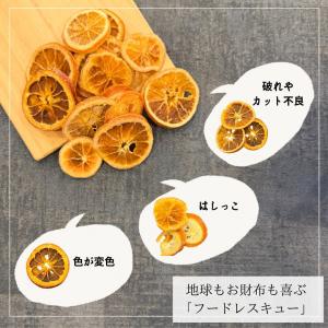 【送料無料】わけあり ドライオレンジ スライス...の詳細画像2