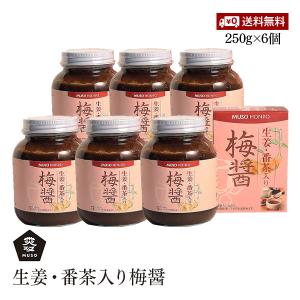 ムソー食品工業 生姜・番茶入り 梅醤 ( 350g )/ 無双本舗 : 爽快