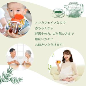 【宅配便】オーガニック グリーンルイボスティー...の詳細画像5
