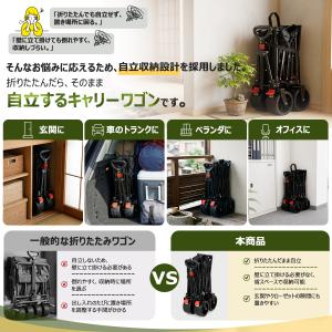 Sekey キャリーワゴン 【タイヤ2タイプ展...の詳細画像3