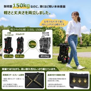 Sekey キャリーワゴン 【タイヤ2タイプ展...の詳細画像4