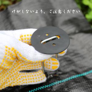 【在庫処分セール】Sekey Uピン杭 黒丸付...の詳細画像5