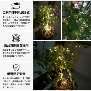 【在庫処分セール】Salcar イルミネーショ...の詳細画像2