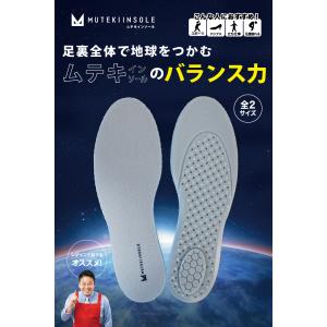 ムテキインソール 体圧分散 バランス 衝撃吸収...の詳細画像1