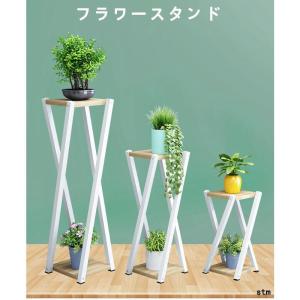 フラワースタンド コンソールテーブル 玄関 おしゃれ 棚 アイアン 観葉植物 プランタースタンド 北欧 スリム ラック 室内 花台 植物