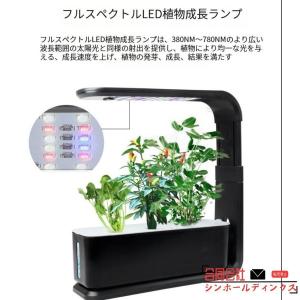 水耕栽培キット スタイリッシュ コンパクト 水...の詳細画像3