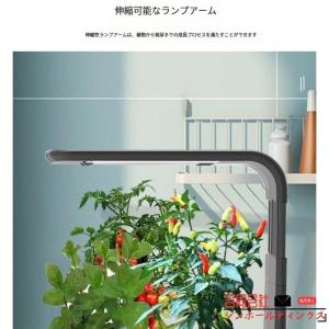 水耕栽培キット スタイリッシュ コンパクト 水...の詳細画像4