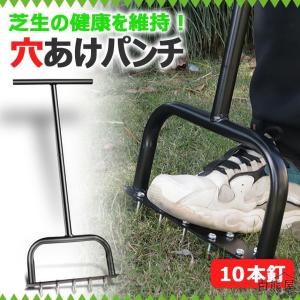 芝生 穴あけ エアレーション 10本釘 ローン...の詳細画像3