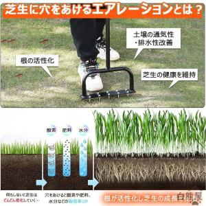芝生 穴あけ エアレーション 10本釘 ローン...の詳細画像5