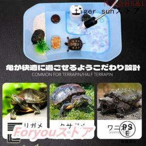 カメ用水槽 大きい カメ 水槽 亀の水槽 40...の詳細画像1