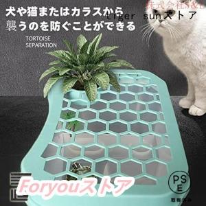 カメ用水槽 大きい カメ 水槽 亀の水槽 40...の詳細画像3