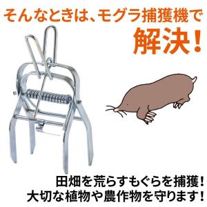 モグラ撃退 モグラ駆除 2個セット 捕獲器 動...の詳細画像2