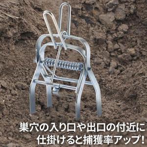 モグラ撃退 モグラ駆除 2個セット 捕獲器 動...の詳細画像4