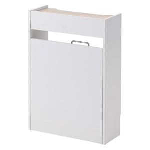 新品】アムウェイ ニュートリライト バランスリープ ピロー Amway