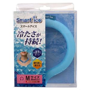 即日出荷 エンプレイス スマートアイス Mサイズ NS-ICE28MB