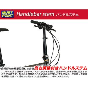ルノー RENAULT 20型 外装18段 折...の詳細画像5
