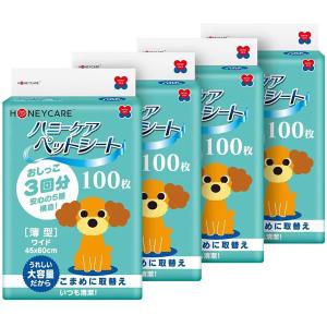 マルカン 即日出荷 プラケースワイドビュー ブラック 特大 PW-05BL