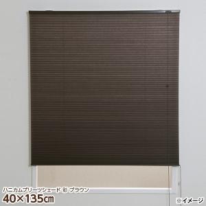 フルネス（Fullness） 直送 日時指定不可 ハニカムプリーツシェード 彩