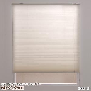 フルネス（Fullness） 直送 日時指定不可 ハニカムプリーツシェード 彩