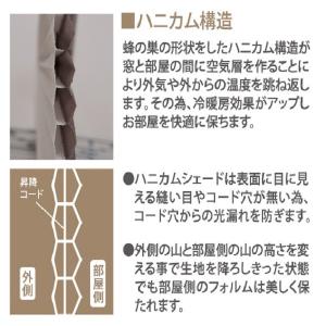 直送 日時指定不可 フルネス ハニカムプリーツ...の詳細画像1