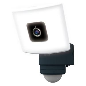 朝日電器 即日出荷 ELPA ワイヤレス防犯カメラ＆モニターセット CMS