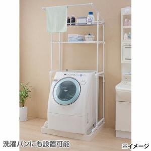 直送 日時指定不可 アイリスオーヤマ ハンガー...の詳細画像2