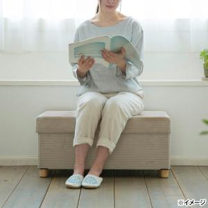 直送 日時指定不可 アイリスオーヤマ 脚付き収...の詳細画像5