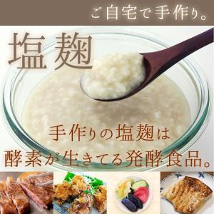 生米こうじ(500g/2袋)米麹100%・無添...の詳細画像5