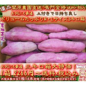 鳴門金時さつまいも優品土付日持ち良しM・Lサイズ3kg(キロ)1箱2266円送料無料/税込/関原農園なるときんとき芋/ギフト/プレゼント/ご贈答品/お試し用にも最適