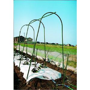 セキスイ菜園アーチ支柱 φ16-2.1 #700 (ワイドタイプ）【入り数10本