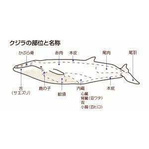 <冷蔵> 無着色 鯨ベーコン 50g 切り落と...の詳細画像4