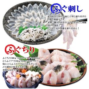 ふぐ 冬 ギフト とらふぐ刺身とふぐちり鍋セッ...の詳細画像2