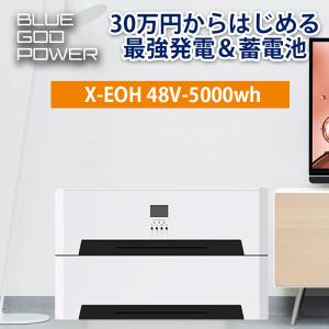 【X-EOH 横置型】最強発電＆蓄電池 ハイブリッドインバーター 家庭用蓄電池 ソーラー発電 MPPT 5000wh容量 5000w出力 正弦波｜sekiya2020