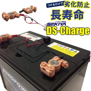 バッテリー 自動再生 超小型パルス DS Charger バッテリー交換不要 バッテリーにつけるだけで 寿命が２倍３倍！ SEKIYA｜sekiyaeco