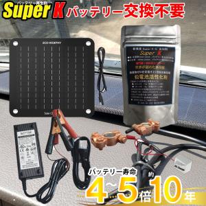 バッテリー再生セット（再生剤+ソーラーパネル+AC充電器5A+バッテリーパルス） 宮崎県ものづくり大賞 サポート無料 SEKIYA