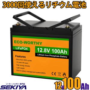 リン酸鉄リチウム電池 12v 10Ah 128Wh 3000回寿命 安全 BMS保護 リン酸鉄リチウム電池 12v 10Ah 128Wh 3000回寿命 安全 BMS保護