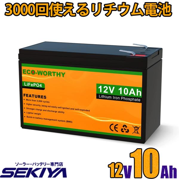 リン酸鉄リチウム電池 12v 10Ah 128Wh 3000回寿命 安全 BMS保護 軽量 コンパク...