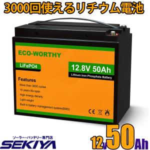 リン酸鉄リチウムイオンバッテリー 12.8V 50Ah 640Wh ポータブル電源