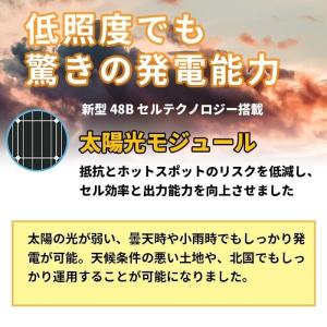 高耐久25年 高効率 低照度でも使える 単結晶...の詳細画像4