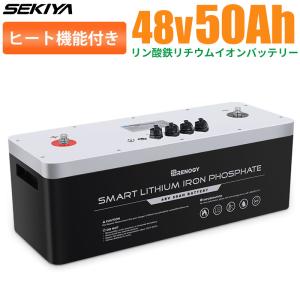 S.Kjapan [予約]エスケイジャパン 1000W専用 ソーラーパネル SKJ