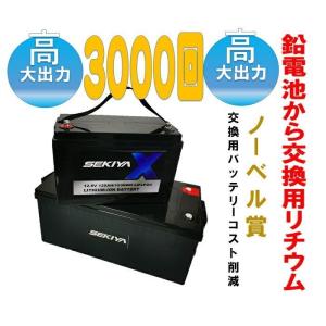 3000回使用可能リチウム電池登場 １２０AHリチウム電池★1500Wh容量◎高容量寿命３０００Cycleリン酸鉄バッテリー SEKIYA｜sekiyaeco