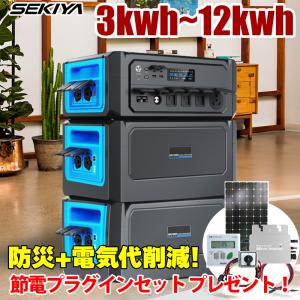 先着で4.7kwh~容量増設無料】ハイブリッドインバーター 5000W