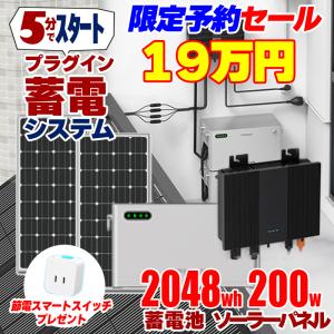 限定予約セール 5分で作れる家庭用蓄電池 プラグインスマート蓄電システム インバーター 蓄電池 2048wh ソーラーパネル 200W
