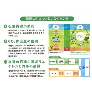 イージーバッグバイオ25ランチ L ベージュの詳細画像1