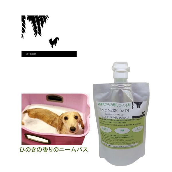 [BLOOM]ブルーム　アーユル ＥＭ　ＮＥＥＭ　ＢＡＴＨ 森林からの恵みの入浴剤 （200ml）