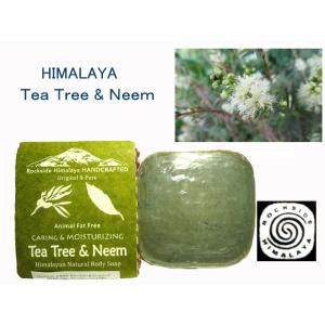 アマゾンJURUA Bee&ベジ ダイアナソープ 180g (ダイアナ亀石鹸) : 自然