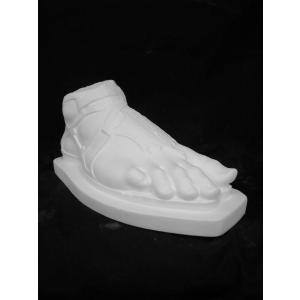 B−514 男の足（ボルゲーゼの闘士） : 石膏像ドットコム - 通販