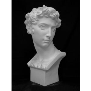 K−107 パジャント胸像（ベレニケ） : 石膏像ドットコム - 通販