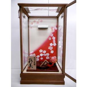 羽子板用ガラスケース☆金茶13号 絹まり・飾り羽根・紐飾付（横幅